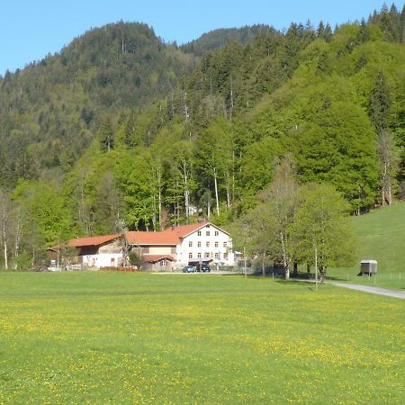 Gasthof Fallmuehle Pfronten Exterior foto
