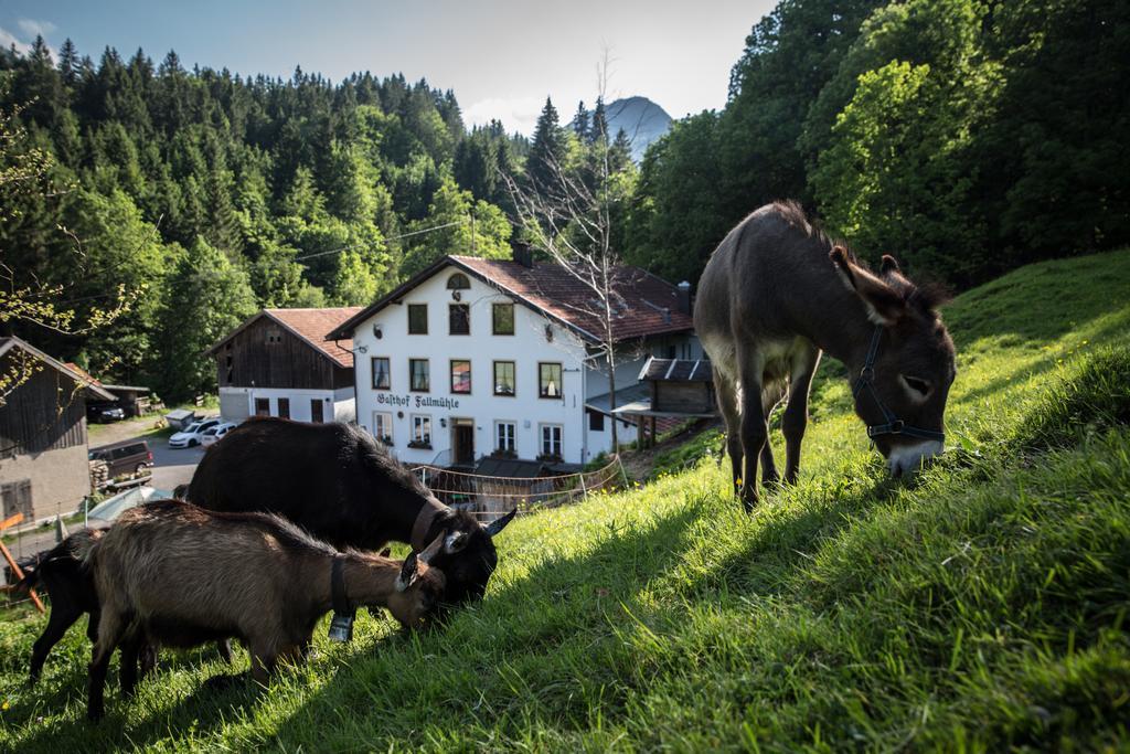 Gasthof Fallmuehle Pfronten Exterior foto
