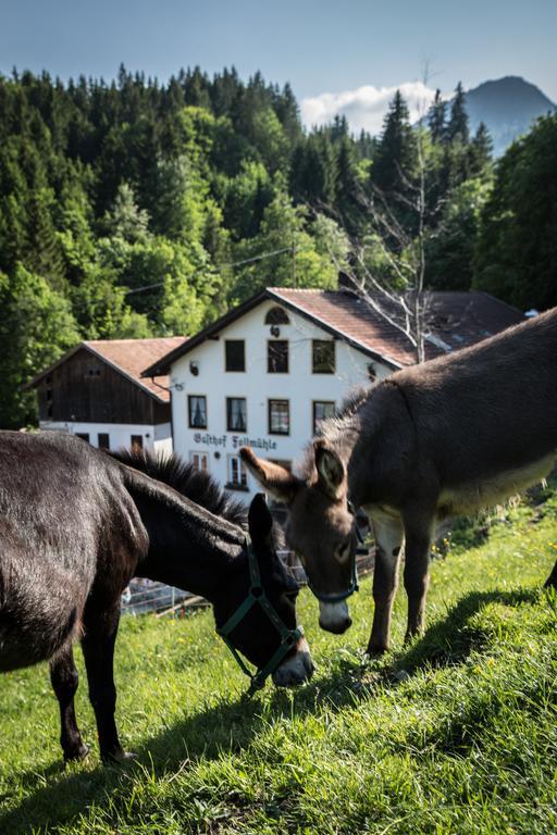 Gasthof Fallmuehle Pfronten Exterior foto