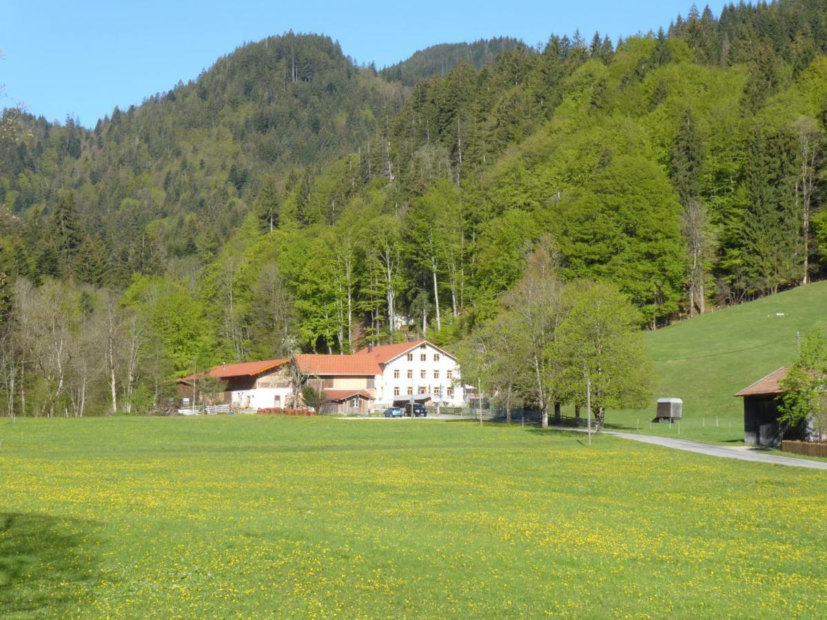 Gasthof Fallmuehle Pfronten Exterior foto